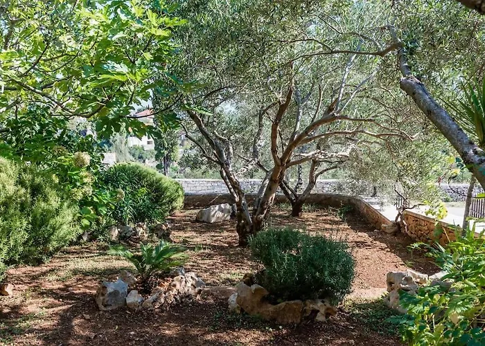 Prázdninový dům Venus